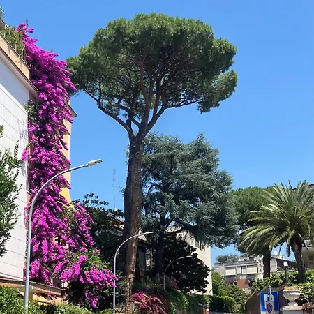 Tra Villini E Giardini - Montesacro *